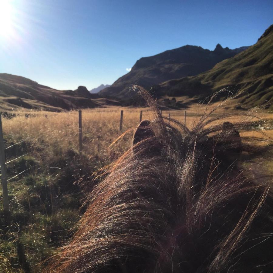 Flo Lofoten Nature Escape Valberg Eksteriør bilde